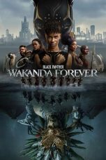 Nonton Dan Download Black Panther: Wakanda Forever (2022) lk21 Film Subtitle Indonesia